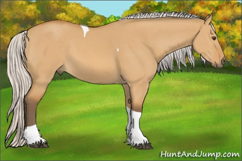 Horse Color: Silver Buckskin Dun Tobiano 
