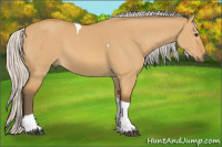 Horse Color:Silver Buckskin Dun Tobiano 