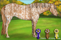 Horse Color:Perlino Sabino Blanket  Brindle