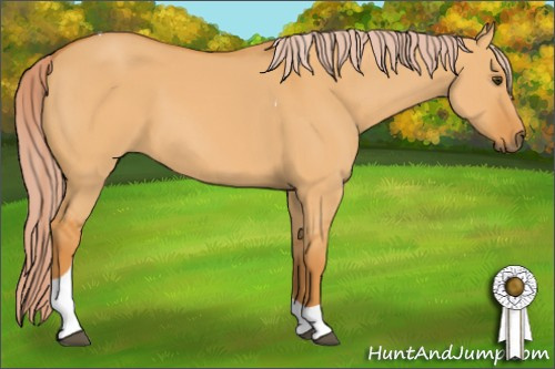 Horse Color: Palomino Dun Tobiano 