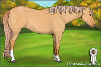 Horse Color:Palomino Dun Tobiano 