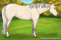 Horse Color:Silver Buckskin Dun Tobiano 