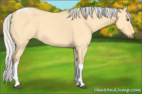 Horse Color:Silver Buckskin Dun Tobiano 