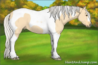 Horse Color:Silver Buckskin Dun Tobiano