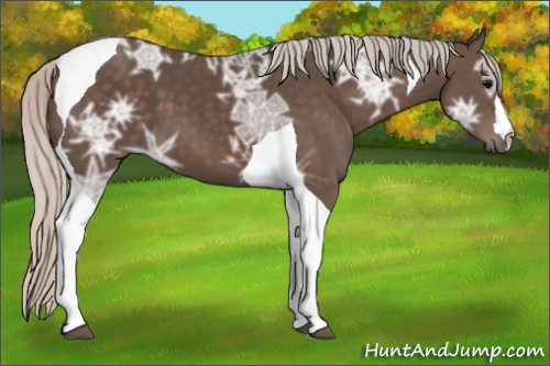 Horse Color: Silver Brown Ice Tobiano 
