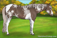 Horse Color:Silver Brown Ice Tobiano 