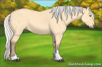 Horse Color:Silver Buckskin Dun Tobiano 