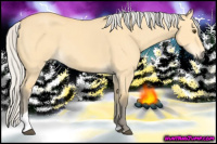 Horse Color:Silver Buckskin Dun Tobiano 