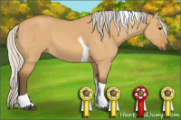 Horse Color:Silver Buckskin Dun Tobiano 