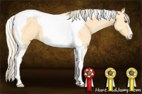 Horse Color:Palomino Dun Tobiano