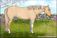 Horse Color:Palomino Roan Dun Tobiano