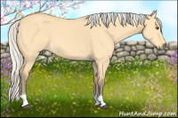 Horse Color:Silver Buckskin Dun Tobiano 