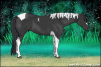 Horse Color:Brown Tobiano