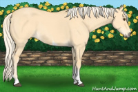 Horse Color:Palomino Dun Tobiano 