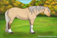 Horse Color:Silver Buckskin Dun Tobiano 