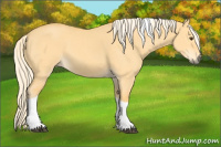 Horse Color:Palomino Dun Tobiano 