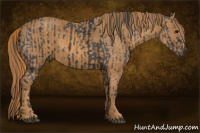 Horse Color:Black  Brindle