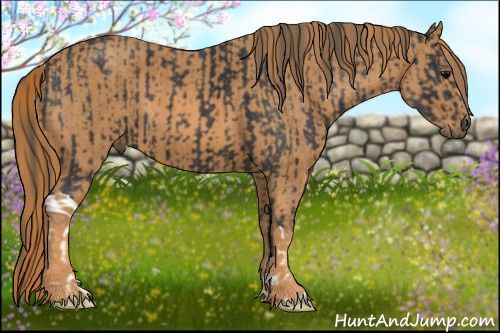 Horse Color: Black  Brindle