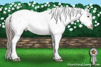 Horse Color:Brown Sabino Tobiano Appaloosa Rabicano 
