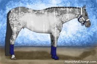Horse Color:Blue Ice Roan Brindle