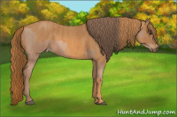 Horse Color:Black Pearl Brindle
