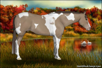 Horse Color:Classic Champagne Tobiano 