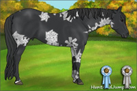 Horse Color:Black Ice 