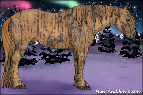 Horse Color: Black  Brindle