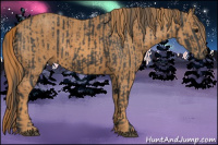 Horse Color:Black Brindle