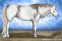 Horse Color:White Spotted Silver Black Splash 