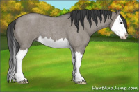 Horse Color:Grullo Roan Splash 