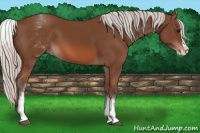 Horse Color:White Spotted Silver Bay Splash 