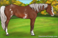 Horse Color:White Spotted Silver Bay Splash 