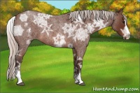 Horse Color:White Spotted Silver Brown Ice Roan Splash