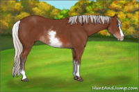 Horse Color:White Spotted Silver Bay Splash 