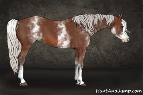 Horse Color: White Spotted Silver Bay Splash 