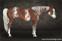 Horse Color:White Spotted Silver Bay Splash 