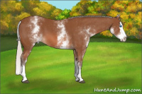 Horse Color:White Spotted Silver Bay Splash