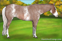 Horse Color:White Spotted Silver Bay Roan Splash 
