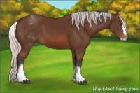 Horse Color:White Spotted Silver Brown Splash 