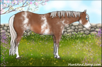 Horse Color:White Spotted Silver Bay Splash 