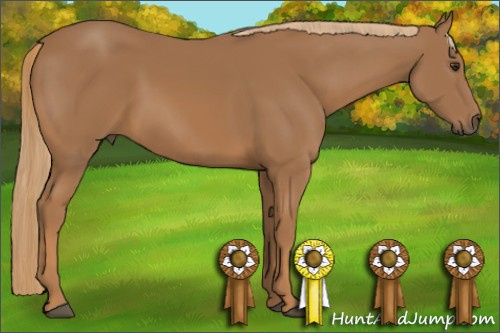 Horse Color: Chestnut 