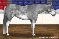 Horse Color:White Spotted Blue Roan Splash Frame 