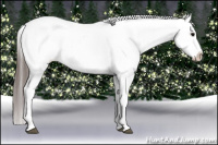 Horse Color:White Spotted Blue Roan Splash Frame Appaloosa 