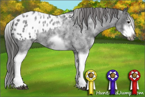 Horse Color: White Spotted Blue Roan Splash Frame Blanket 