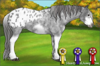 Horse Color:White Spotted Blue Roan Splash Frame Appaloosa 