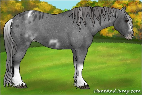 Horse Color: White Spotted Blue Roan Splash Frame Blanket 