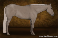 Horse Color:Silver Grullo