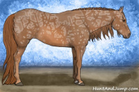Horse Color:Chestnut Ice 