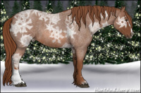 Horse Color:Red Ice Roan Sabino 